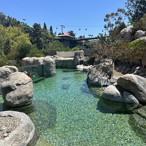July 2025 - Africa Rocks - African Penguin Enclosure