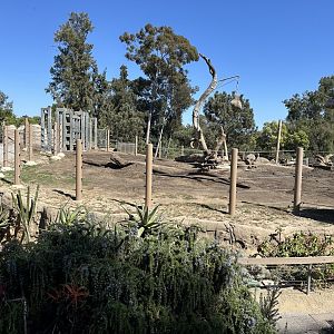 July 2025 - Elephant Odyssey - African Elephant Yard (from the Bus Tour)
