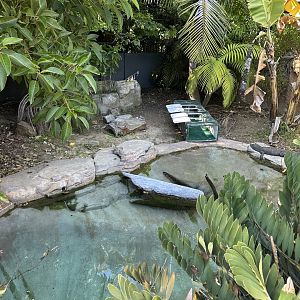 July 2025 - Reptile Walk - Chinese Alligator Enclosure