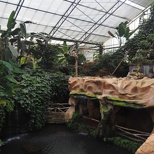 Oasis greenhouse - Lower walkway and waterfalls with armadillo exhibit above, 2024-09-17