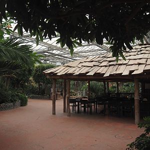 View of eating area and walkways in the Oasis greenhouse, 2024-09-17