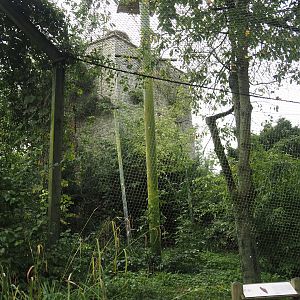 African fish eagle aviary, 2024-09-17