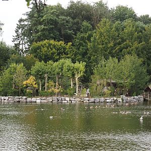 Squirrel monkey island and road for elephants to lake, 2024-09-17