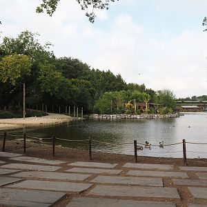View of lake with squirrel monkey island and beach and bathing and swimming area for elephants, 2024-09-17