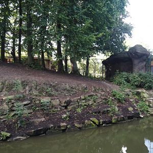Amur tiger exhibit, 2024-09-17