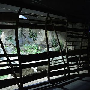 Grand Aquarium de Tourainne - Invasive turtles enclosure