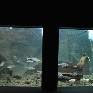 Grand Aquarium de Tourainne - Loire River aquarium