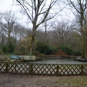 Waterfowl and pelican lake