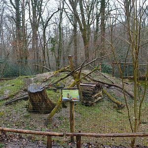 European marmott enclosure