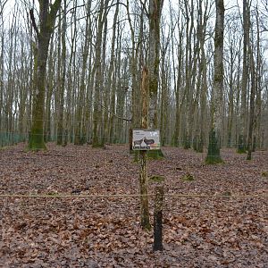 One of the enclosures for ungulates