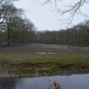 Aurochs enclosure