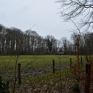 Enclosure for european wisent