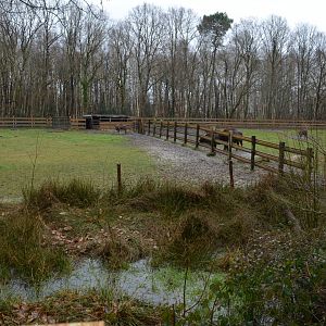 Enclosure for european wisent