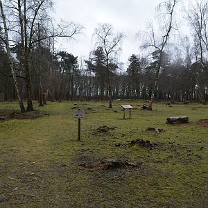 Great walkthrough enclosure for european fallow deer