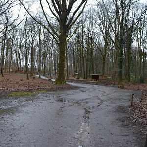 Walkthrough enclosure for axis deers