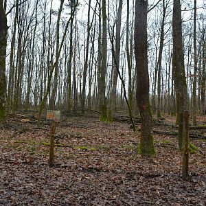 Enclosure for european roe deer