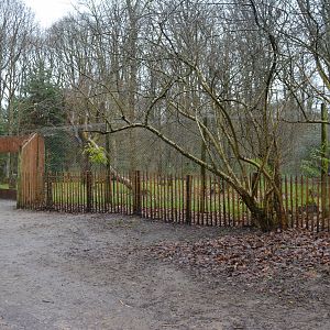 Enclosure for european lynx