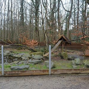 Enclosure for common racoons