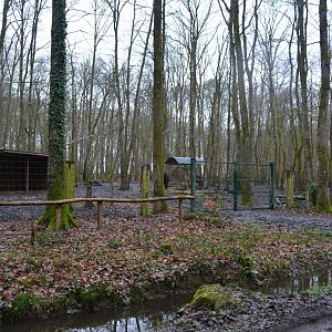 Enclosure for water buffalos