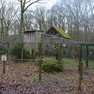 Enclosure for european wildcats