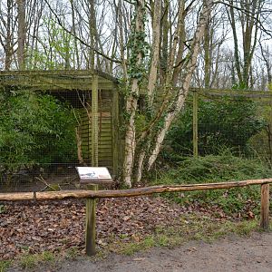 Example of pheasants aviaries