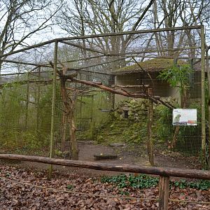 Macaws aviary