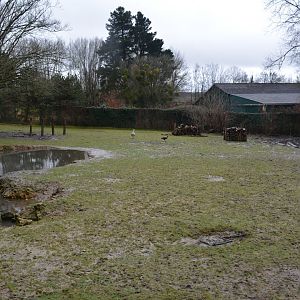 South american prairie