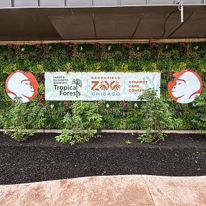 Entry Sign - Tropical Forests