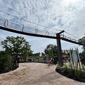 Overhead Monkey Tunnel - Tropical Forests
