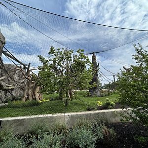South American Monkey Exhibit - Tropical Forests