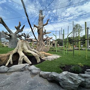 Orangutan & White-cheeked Gibbon Exhibit - Tropical Forests