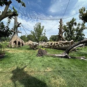 Gorilla Exhibit #1 - Tropical Forests