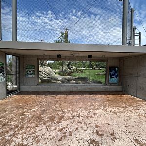 Gorilla Exhibit #2 - Tropical Forests