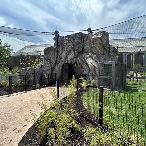 Primate Viewing Shelter - Tropical Forests