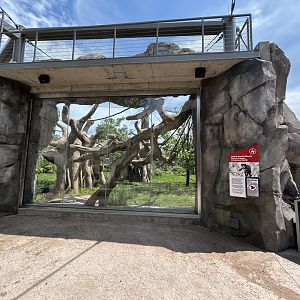 South American Monkey Exhibit - Tropical Forests