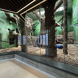 Indoor Gorilla/Monkey Exhibit - Tropical Forests