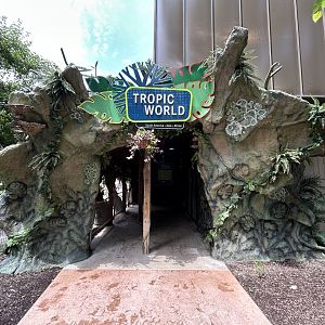Tropic World Entrance - Tropical Forests