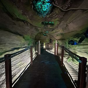 Tropic World Entrance - Tropical Forests