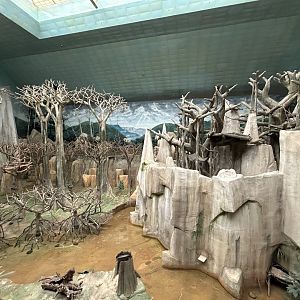 Tropic World Asia - Tropical Forests