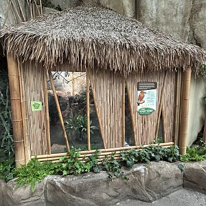 Guam Kingfisher Exhibit - Tropical Forests