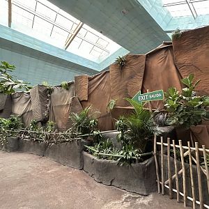 Former Gorilla Exhibit - Tropical Forests