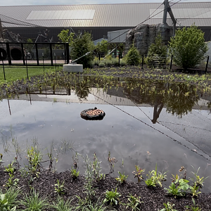 Zoo Flooding outside Tropical Forests