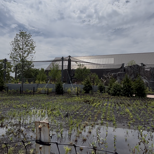 Zoo Flooding outside Tropical Forests