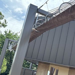 South America monkey tunnel