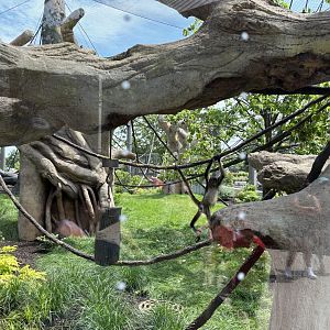 South America view 2