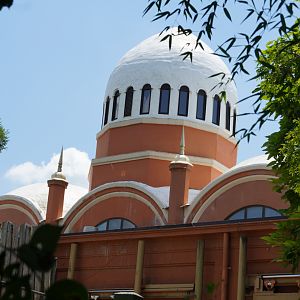 Historic Elephant House