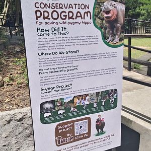 Pygmy hippo conservation sign.
