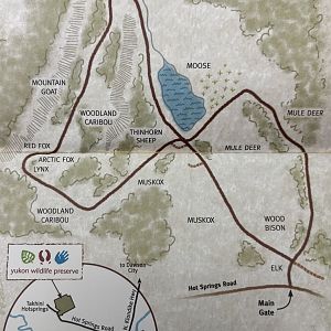 Yukon Wildlife Preserve Map