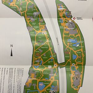 Zoo Map