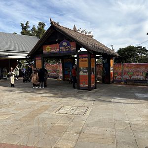 Indian Rhino development - July 2025